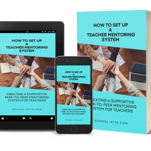 How to Set up a Teacher Mentoring System