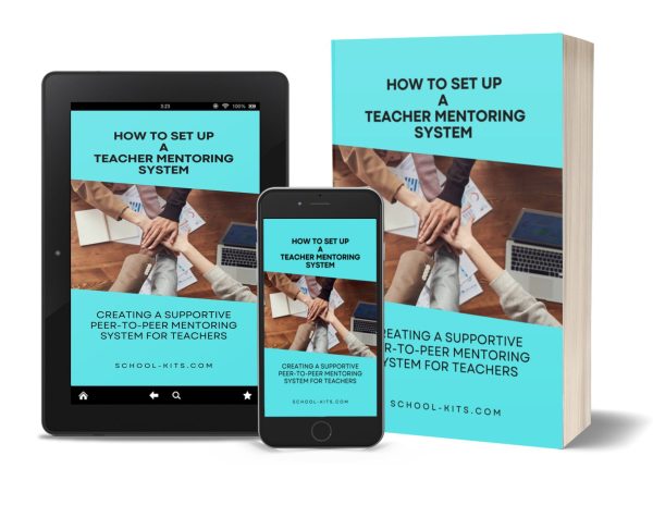 How to Set up a Teacher Mentoring System