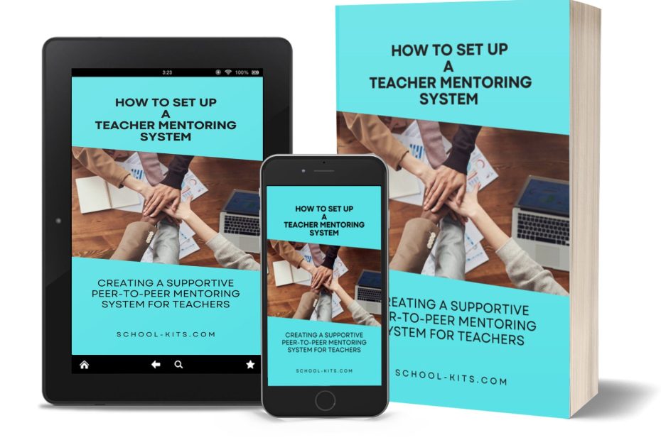 How to Set up a Teacher Mentoring System